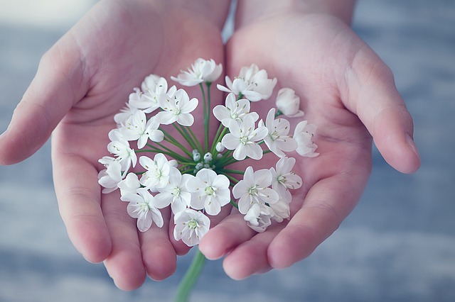 Två händer som håller en vit blomma